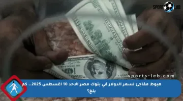 هبوط مفاجئ لسعر الدولار في بنوك مصر الأحد 10 أغسطس 2025.. كم بلغ؟